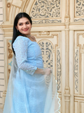 Powder Blue Chikankari Panel-Cut Top