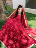 Royal Aura Chinon Anarkali