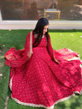 Royal Aura Chinon Anarkali