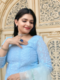 Powder Blue Chikankari Panel-Cut Top