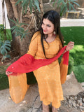 Haldi Glow Chinon Suit Combo